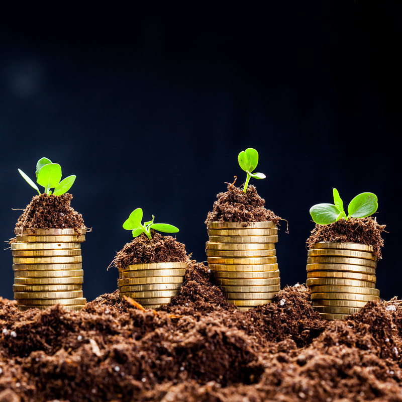 AEO, GEO, SEO: When Discoverability Beats Rankings for Revenue Outcomes